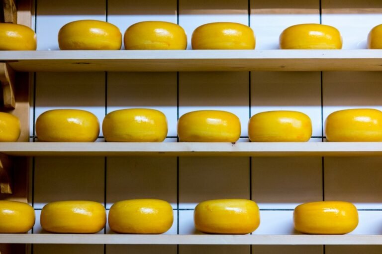 Rodas de queijo artesanal curado enfileiradas