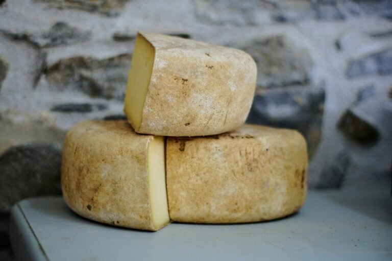 Rodas de queijo semiduro cortadas